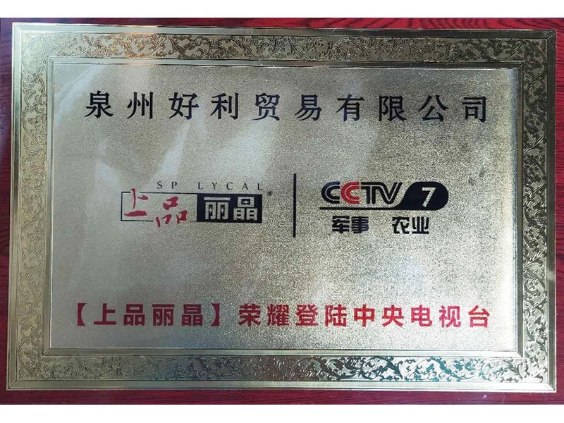 【上品丽晶】荣耀登陆中央电视台